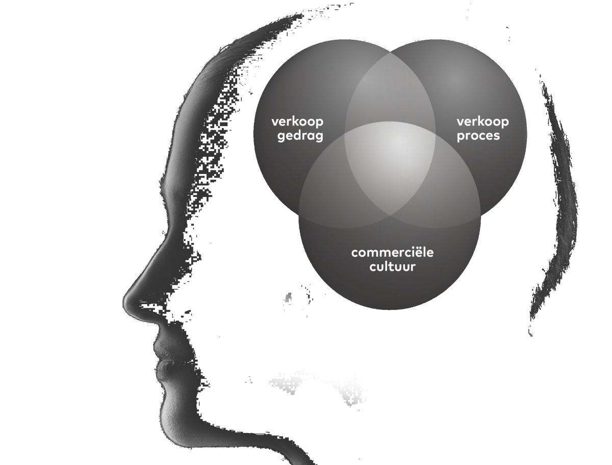 Focus op sales en maximaliseer omzet met onze salesanalyse